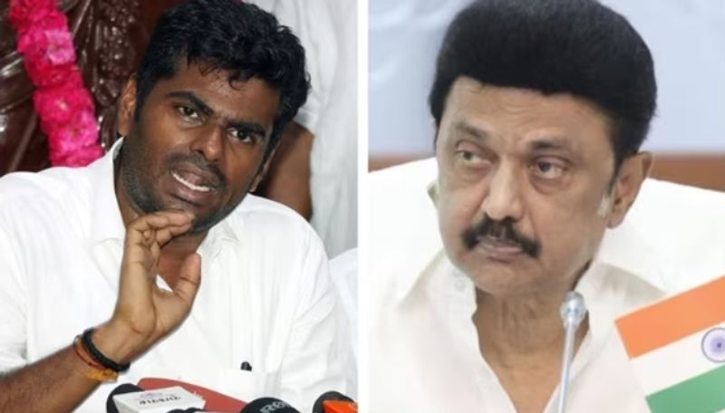 An eight-page report on the name-calling ceremony... Annamalai slams MK Stalin sgb