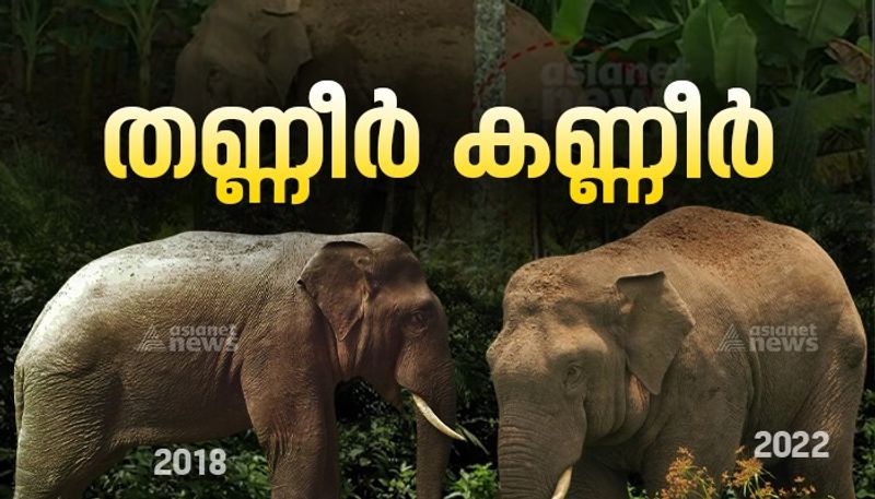 Tanneer komban death, reason unknown, Wildlife activists protests, 3 elephants killed in Karnataka forest area in one month