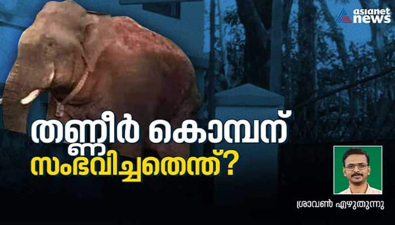 What is the cause of the death of thanneer komban a wild elephant by sravan krishna bkg