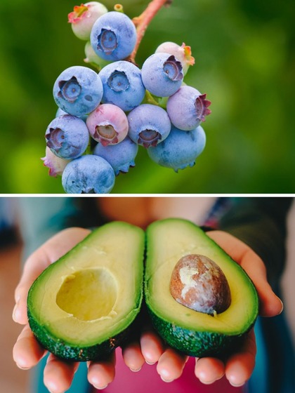 Berries to Avocado: 7 fruits to eat for long, lustrous hair