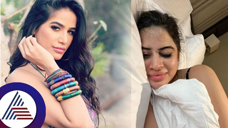 Urfi Javed  lesson about hangover against actress Poonam Pandey who spread fake news suc