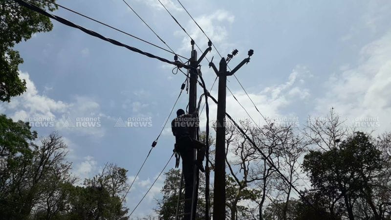 KSEB and the forest department to conduct an inspection to find illegal electric fencing in Wayanad vkv