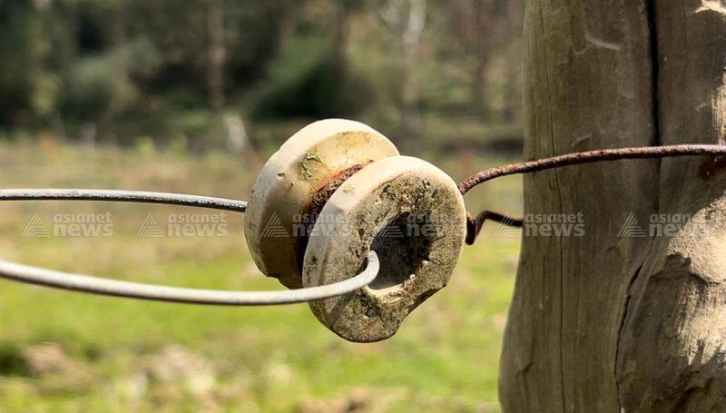 KSEB and the forest department to conduct an inspection to find illegal electric fencing in Wayanad vkv