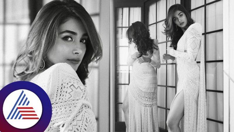 south indian actress pooja hegde photoshoot in white netted dress see her cute photos gvd