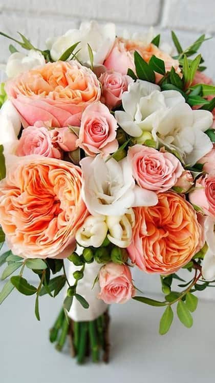 <p>जूलियट रोज दुनिया का सबसे गुलाब है। जिसकी कीमत 130 करोड़ रुपए है। इस गुलाब की खेती करने के लिए कई साल लग जाते हैं और इसे सावधानी से उगाना पड़ता है।<br />
 </p>
