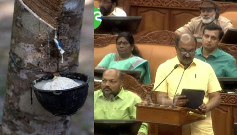 Kerala Govt raises MSP on rubber to 180 rupees Budget 2024 kgn