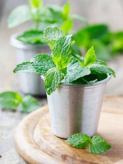 3. Mint Leaves