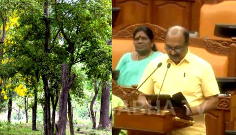 kerala budget 2024 sandalwood farm realated announcement 