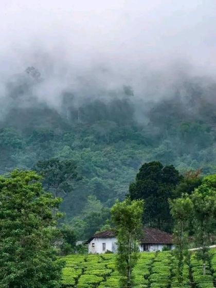 Nelliyampathy