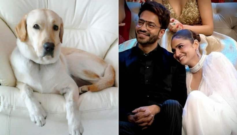 Ankita Lokhande's dog passes away; Vicky Jain comments on the gift given by Sushant Singh Rajput