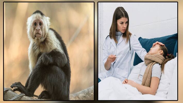 monkey fever 