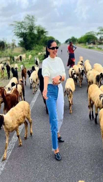 <p>सोहानी ने 8वीं तक गांव में पढ़ाई की। बड़ी बहन एएनएम बनीं तो परिवार की माली हालत सुधरी। बड़ी बहन के साथ बालोतरा गईं।</p>

