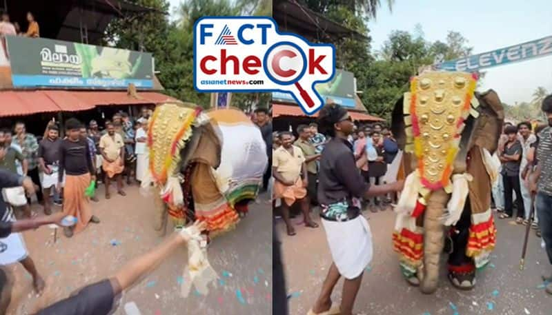 Kerala Elephant dance video goes viral but reality is different fact check 