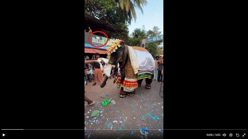 Kerala Elephant dance video goes viral but reality is different fact check 