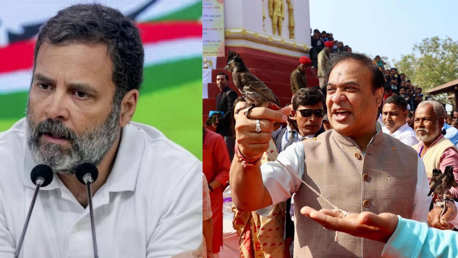 Rahul Gandhi 
