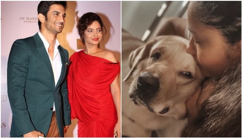 sushant singh ex girlfriend ankita lokhande shares the sad news that her pet dog gifted by him died