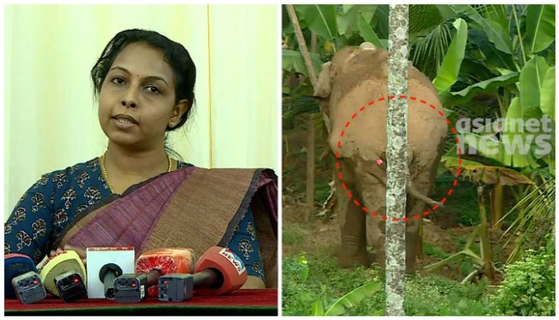 'No lapses in procedure of darting the elephant': CCF officer on wild elephant Thanneer Komban's death rkn