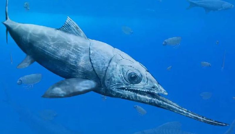 secret about Alienacanthus fish alien shaped fish revealed by paleontologists rlp