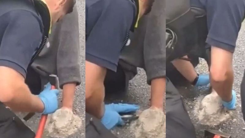 A Female protester attached her hand to road with fast cement what happend next watch viral video akb