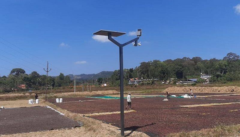 Farmers Installed CC Camera For Protect Coffee Seeds in Kodagu grg 