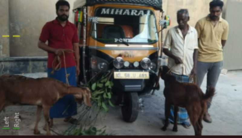 pet animals missing cases repeats in Wayanad police suspicious about presence of an auto and arrest thieves etj