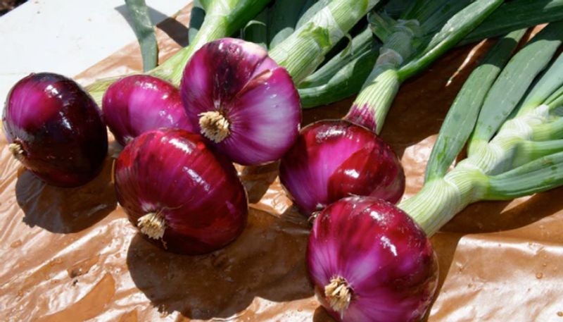 10 benefits of eating onion daily 