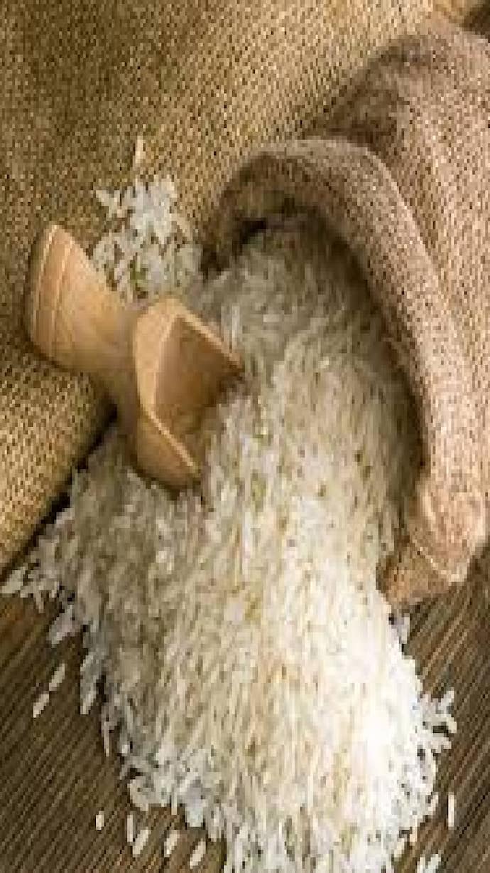 rice