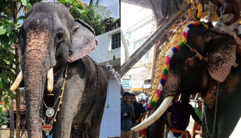 Accident while transporting elephant in lorry; The Tusk Tuskof 'Kulakkadan Kuttikrishnan' was cut off