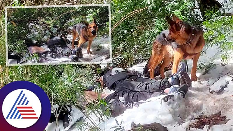 Dog Guards Bodies Of Owner Friend For Forty Eight Hours In Snow roo