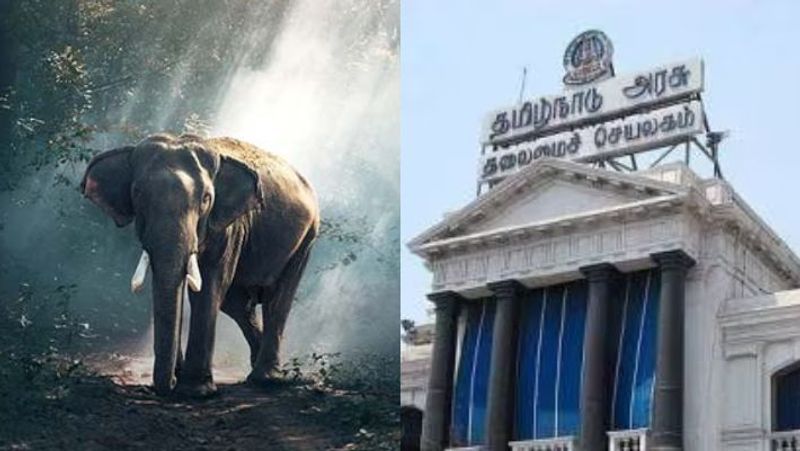 New facility to prevent elephants from being hit by trains on Madhukarai reserve tracks-rag