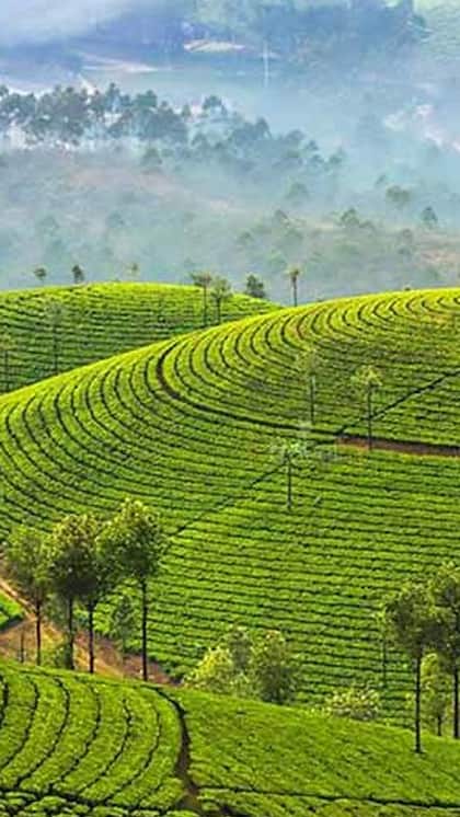 Munnar