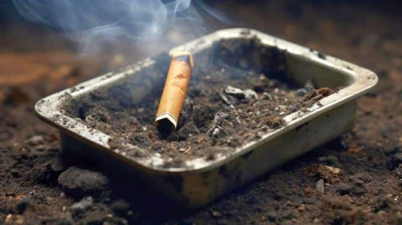 Those who quit smoking before age of 40 may live as long as those who never smoked: Report