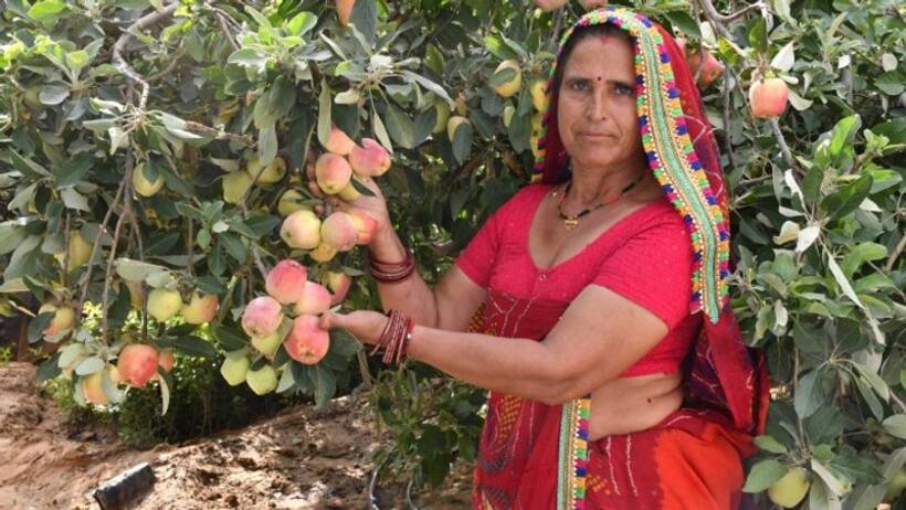होमगार्ड की पत्नी सवा एकड़ ज़मीन पर खेती कर कमाने लगी 25 लाख 