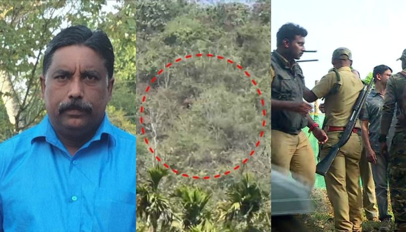 forest officers tracking wild elehant in mananthavady apn 