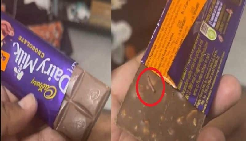 Dairy milk chocolate is a living worm. The video went viral and Cadbury responded..ISR