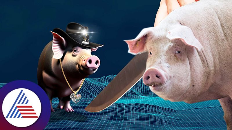 Pig butchering scam Alert before cyber crime scammers target you ckm