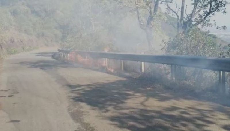 Forest Fire at Mullayyanagiri Hill in Chikkamagaluru grg 