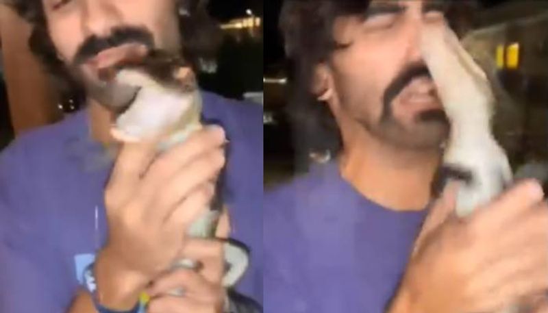 man tries to kiss alligator then this is happened rlp