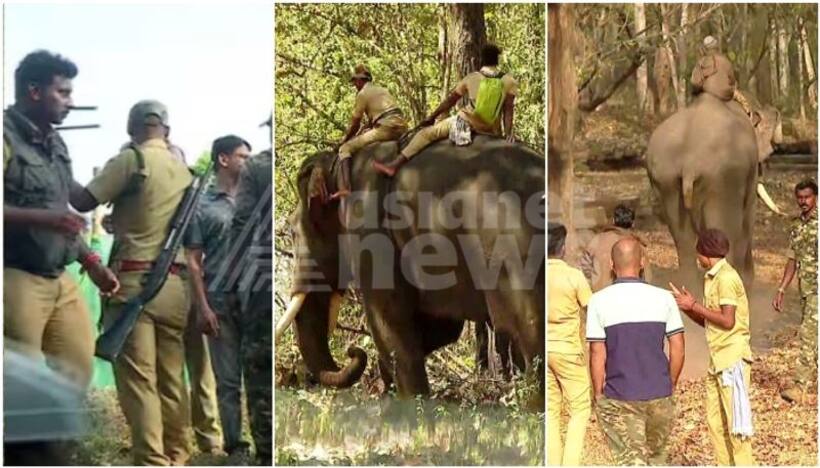മിഷന്‍ ബേലൂര്‍ മഖ്ന; ആളെക്കൊല്ലി കാട്ടാനയെ കണ്ടെത്തി, ആന ട്രാക്കിംഗ് ടീമിന്‍റെ വലയത്തിൽ