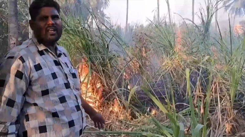 3 acres of sugarcanes fire burned at tirupattur district vel