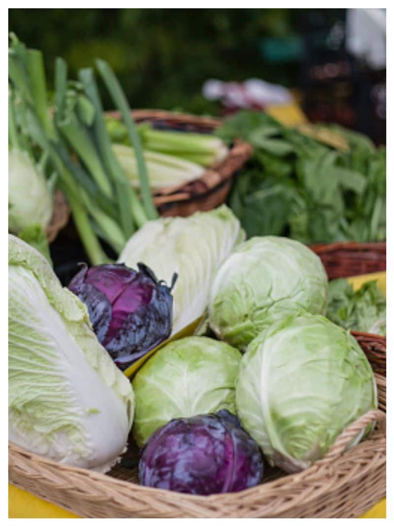 cabbage-health-benefits-calcium-rich-green-vegetable-for-strong-bones