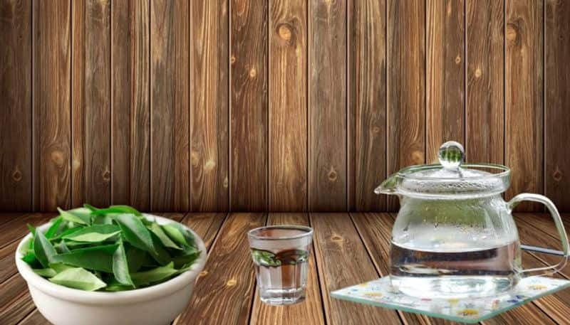 Benefits of drinking curry leaves water pav