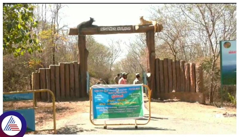 Tourist entry banned at Jogimatti hill station in chitradurga gow