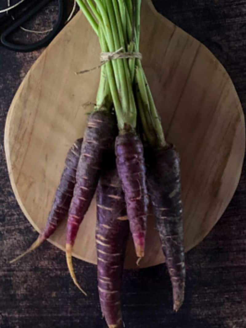 benefits of eating purple carrot