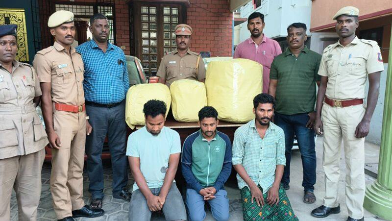 100 kg of Cannabis seized in Chennai.. 3 people arrested tvk