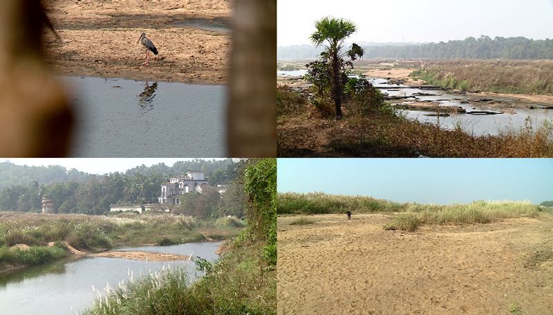 drought hit Bharathapuzha