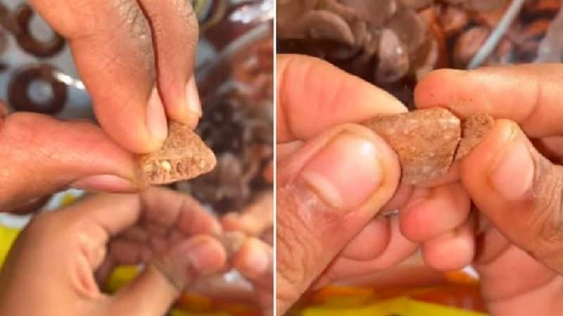 Worms found in Kelloggs Chocos leave internet disgusted, Company reacts Vin