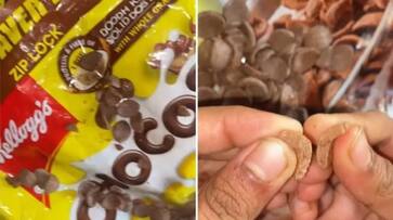 worm inside kellogs chocos zkamn