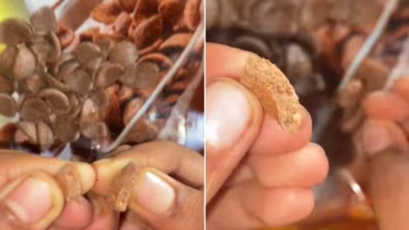 Man Finds 'Worms' Inside Kellogg's Chocos, Company Responds watch viral video Rya 