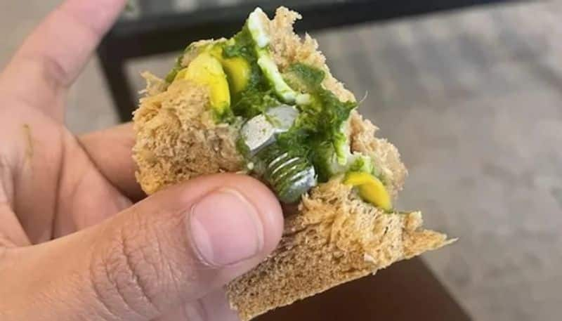 social media user claims that they got screw from sandwich which served inside indigo airlines flight